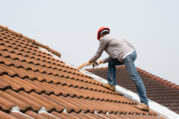 Best Asphalt Shingle Roofing  in St Martins, MO